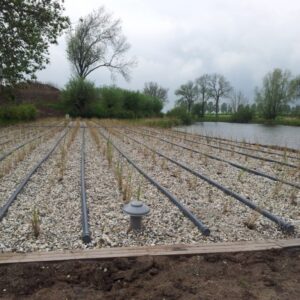 Zuivering Rietveld Geofort Herwijnen